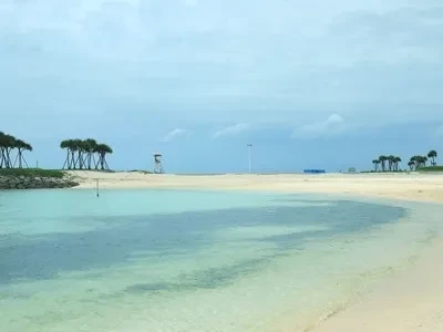 美ら海水族館近くの海（美ら海ビーチ）美ら海水族館の近くに広がるエメラルドグリーンの海は非常に美しく、シュノーケリングやビーチでのんびり過ごすのに最適です。