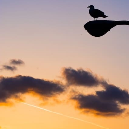 タイムスケジュール画像