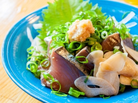 高知市内（高知県）観光スポット：高知城、龍馬記念館、桂浜
アクティビティ：土佐文化体験、龍馬ゆかりの地巡り、高知の郷土料理試食
オススメグルメ：土佐料理のかつおたたきや郷土料理の鯛めし