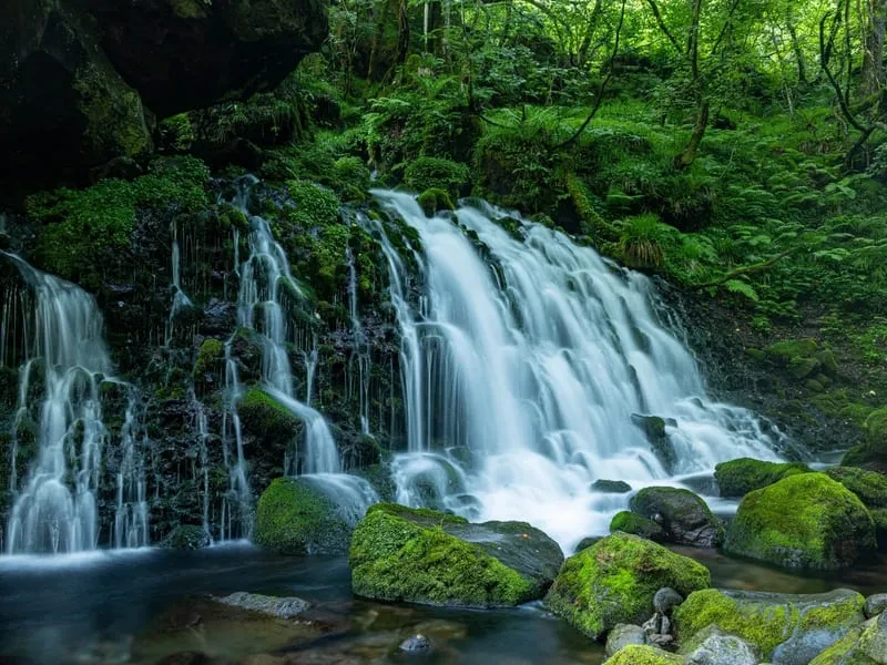 鳥海山（ちょうかいさん）／東北標高：2,236メートル
特徴：秋田県と山形県にまたがる独立峰で、豊かな自然と涼しい気候が魅力です。