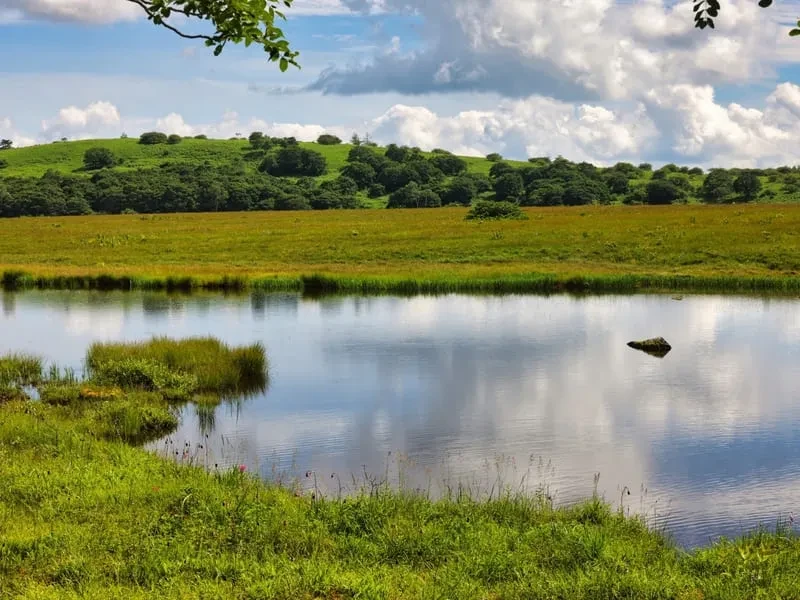 八ヶ岳（やつがたけ）／中部標高：2,899メートル（赤岳）
特徴：長野県と山梨県にまたがる山岳地帯で、豊かな自然と涼しい気候が楽しめます。