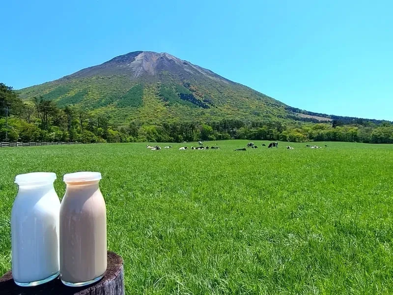 大山（だいせん）／中国標高：1,729メートル
特徴：鳥取県に位置し、登山やハイキングが楽しめる避暑地です。