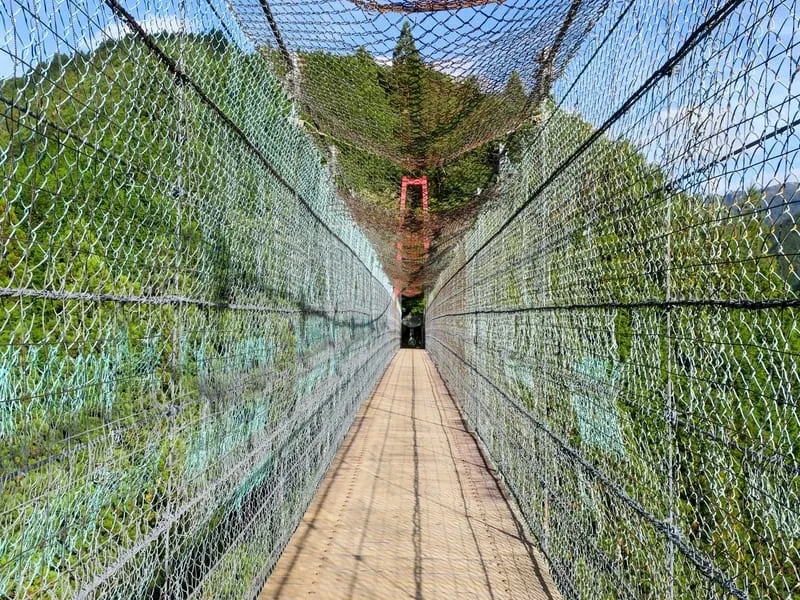 大峰山（おおみねさん）／近畿標高：1,915メートル（八経ヶ岳）
特徴：奈良県に位置し、登山道が整備されており、自然環境が豊かです。